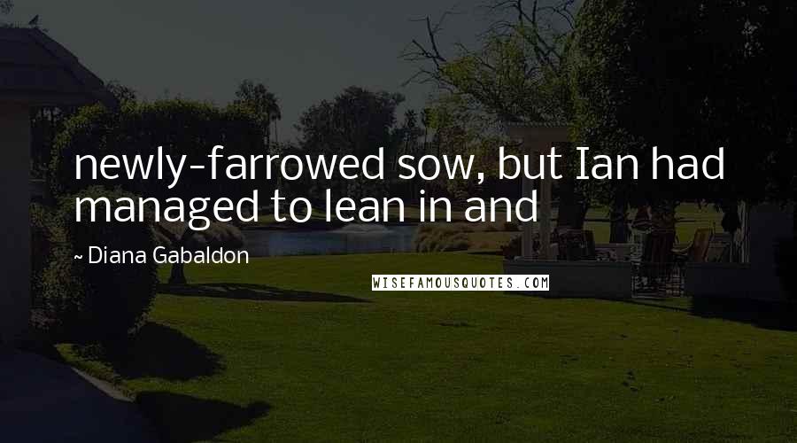 Diana Gabaldon Quotes: newly-farrowed sow, but Ian had managed to lean in and