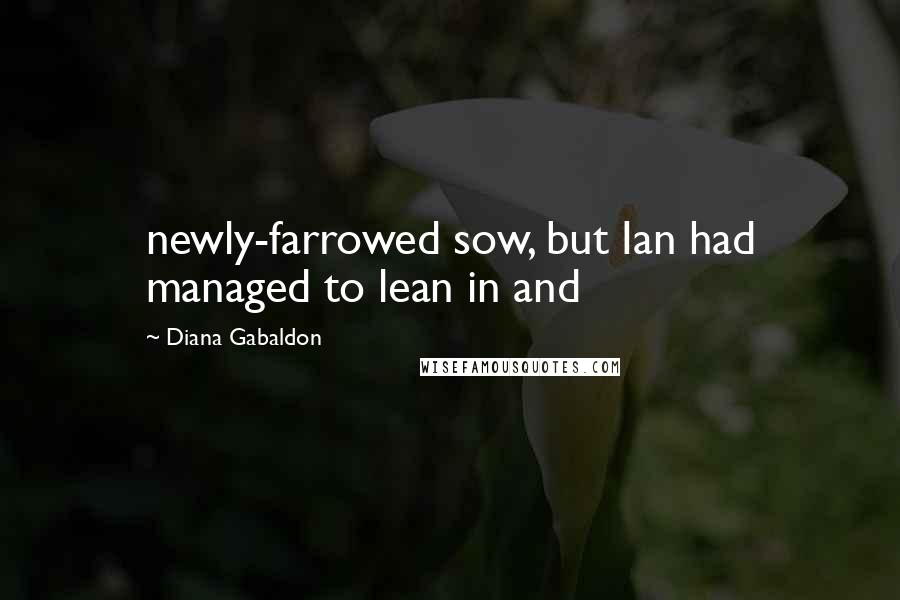 Diana Gabaldon Quotes: newly-farrowed sow, but Ian had managed to lean in and