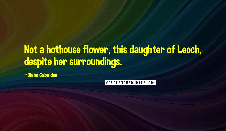Diana Gabaldon Quotes: Not a hothouse flower, this daughter of Leoch, despite her surroundings.