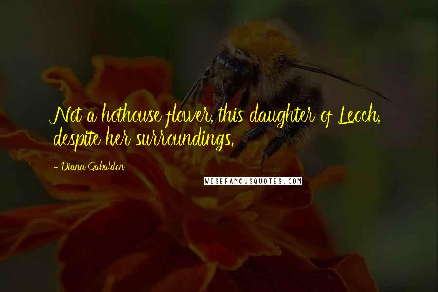 Diana Gabaldon Quotes: Not a hothouse flower, this daughter of Leoch, despite her surroundings.