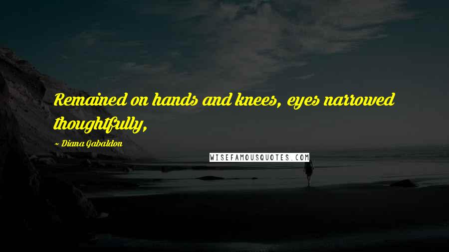 Diana Gabaldon Quotes: Remained on hands and knees, eyes narrowed thoughtfully,