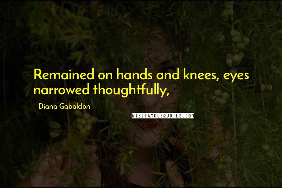Diana Gabaldon Quotes: Remained on hands and knees, eyes narrowed thoughtfully,