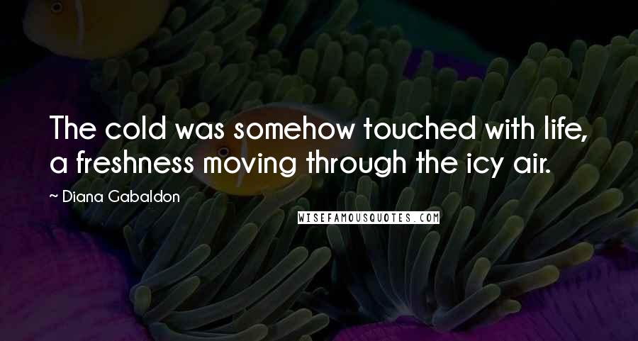 Diana Gabaldon Quotes: The cold was somehow touched with life, a freshness moving through the icy air.