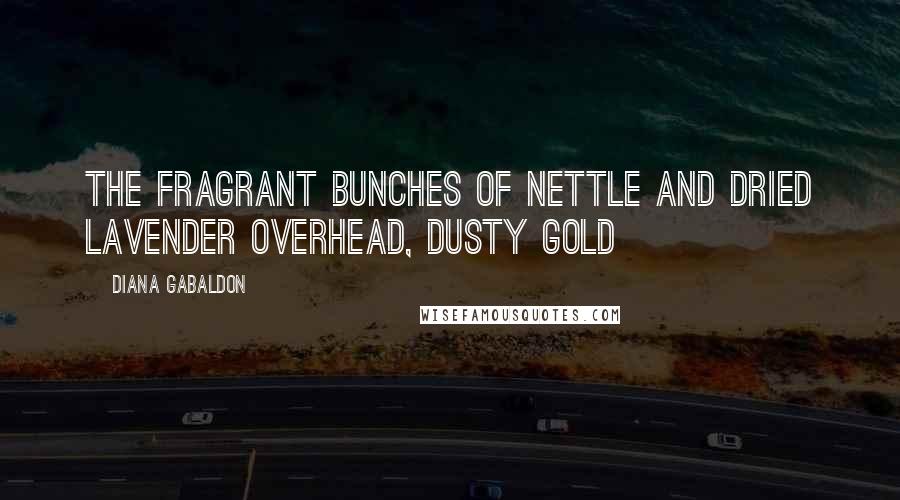 Diana Gabaldon Quotes: the fragrant bunches of nettle and dried lavender overhead, dusty gold