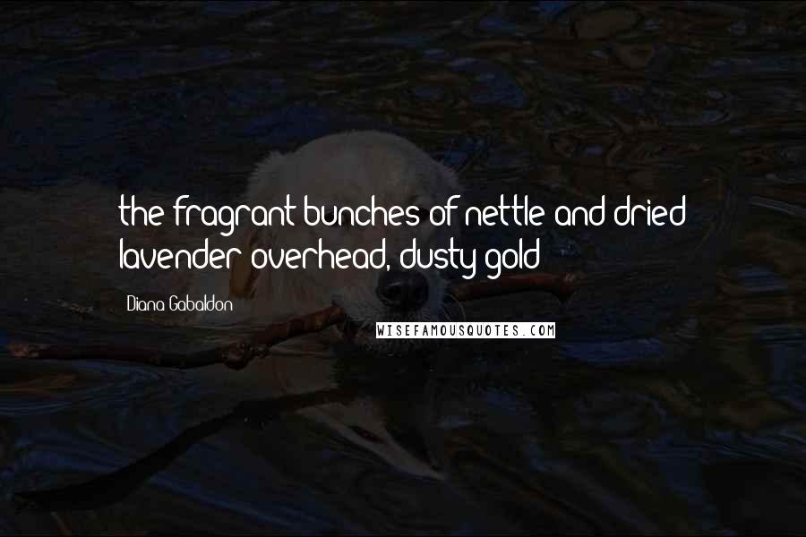 Diana Gabaldon Quotes: the fragrant bunches of nettle and dried lavender overhead, dusty gold