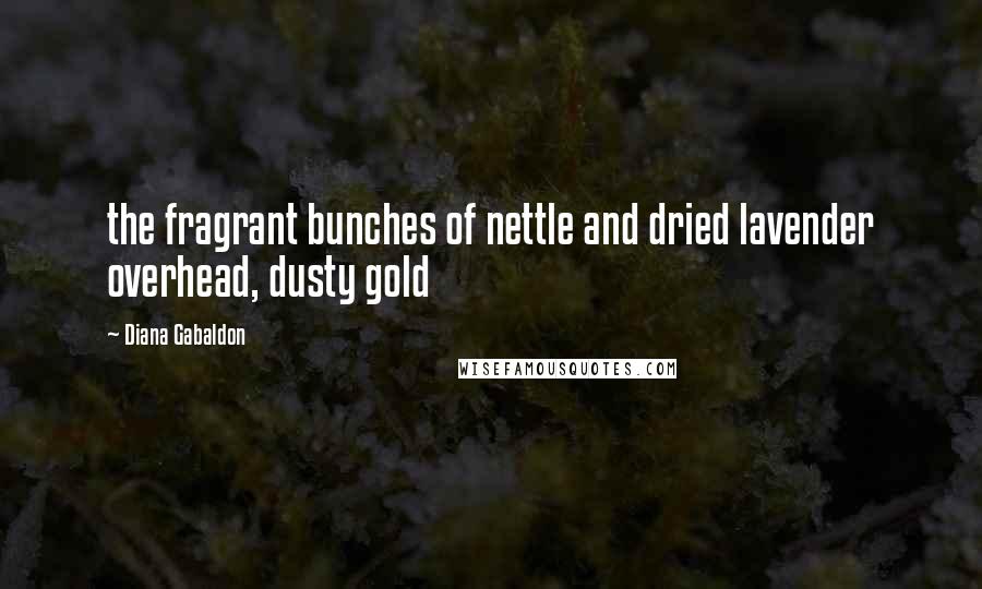 Diana Gabaldon Quotes: the fragrant bunches of nettle and dried lavender overhead, dusty gold