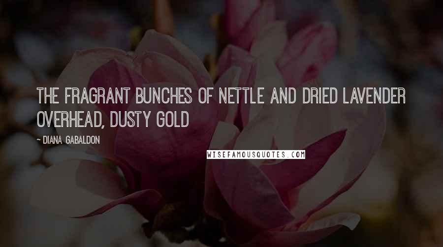 Diana Gabaldon Quotes: the fragrant bunches of nettle and dried lavender overhead, dusty gold
