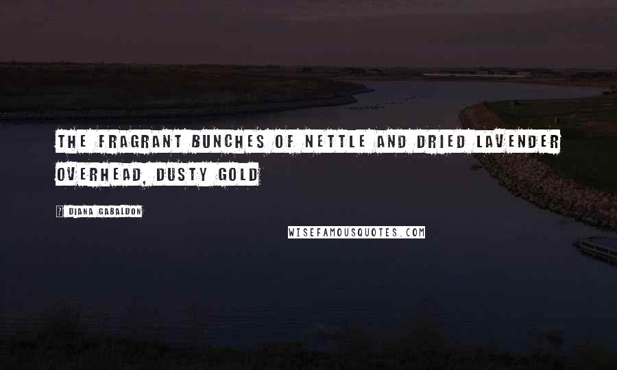 Diana Gabaldon Quotes: the fragrant bunches of nettle and dried lavender overhead, dusty gold
