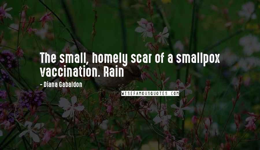 Diana Gabaldon Quotes: The small, homely scar of a smallpox vaccination. Rain