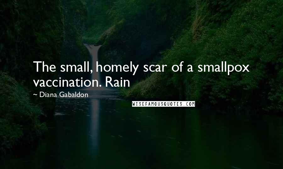 Diana Gabaldon Quotes: The small, homely scar of a smallpox vaccination. Rain