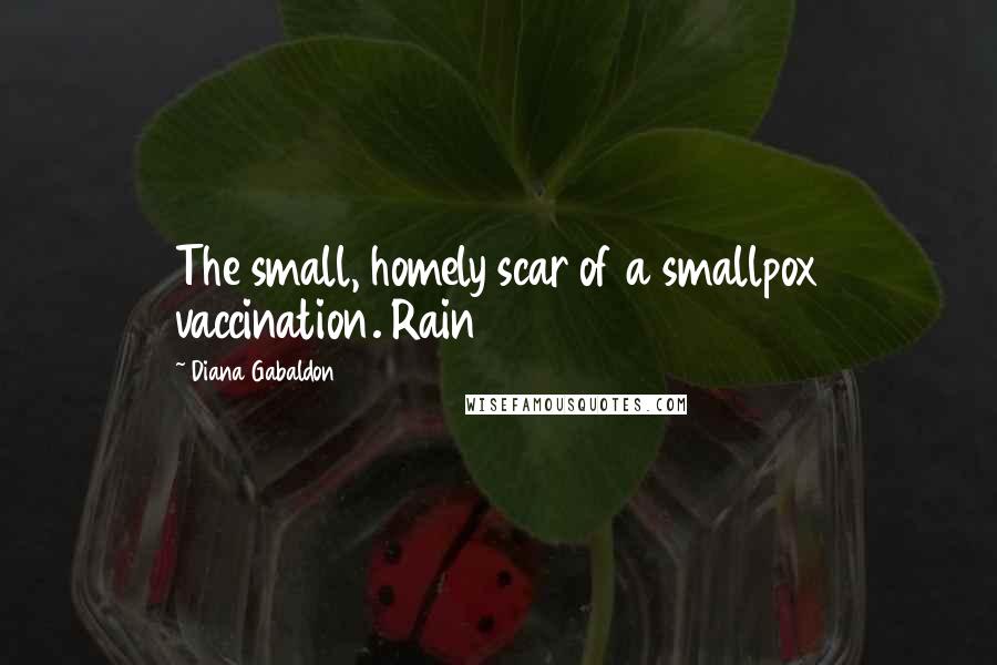 Diana Gabaldon Quotes: The small, homely scar of a smallpox vaccination. Rain