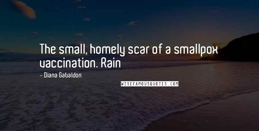 Diana Gabaldon Quotes: The small, homely scar of a smallpox vaccination. Rain