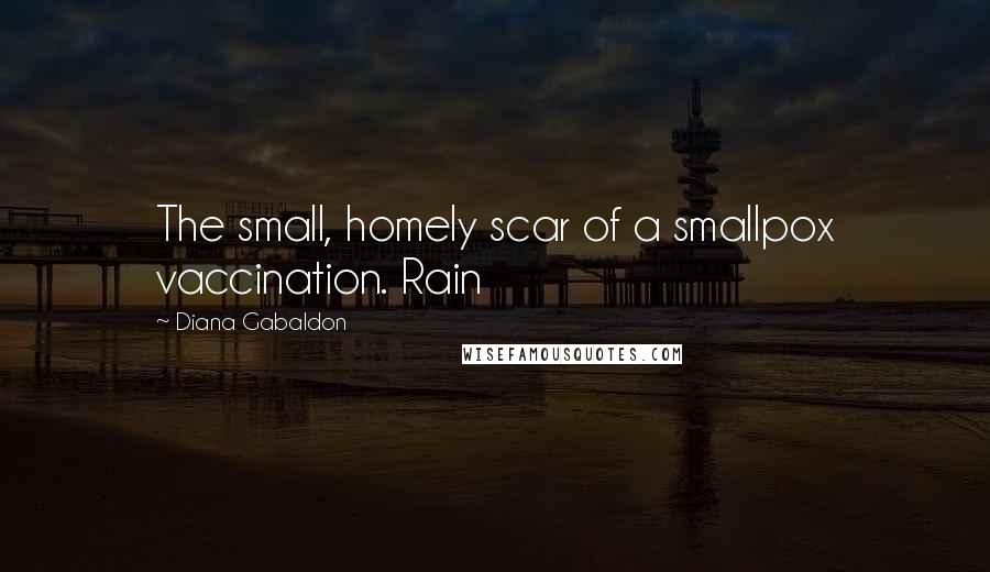 Diana Gabaldon Quotes: The small, homely scar of a smallpox vaccination. Rain