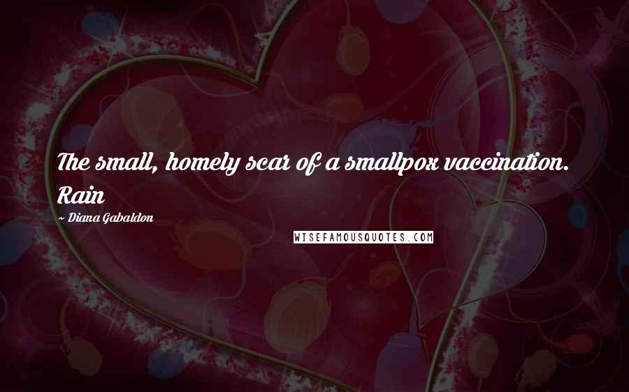 Diana Gabaldon Quotes: The small, homely scar of a smallpox vaccination. Rain