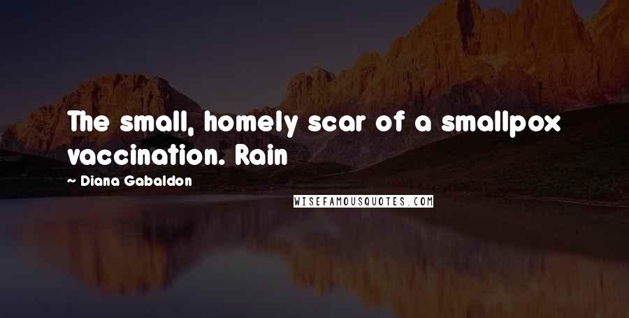 Diana Gabaldon Quotes: The small, homely scar of a smallpox vaccination. Rain