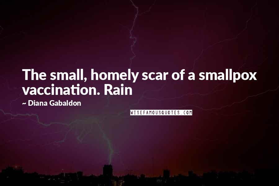 Diana Gabaldon Quotes: The small, homely scar of a smallpox vaccination. Rain