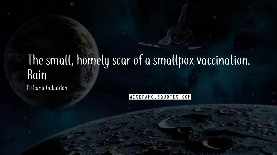 Diana Gabaldon Quotes: The small, homely scar of a smallpox vaccination. Rain