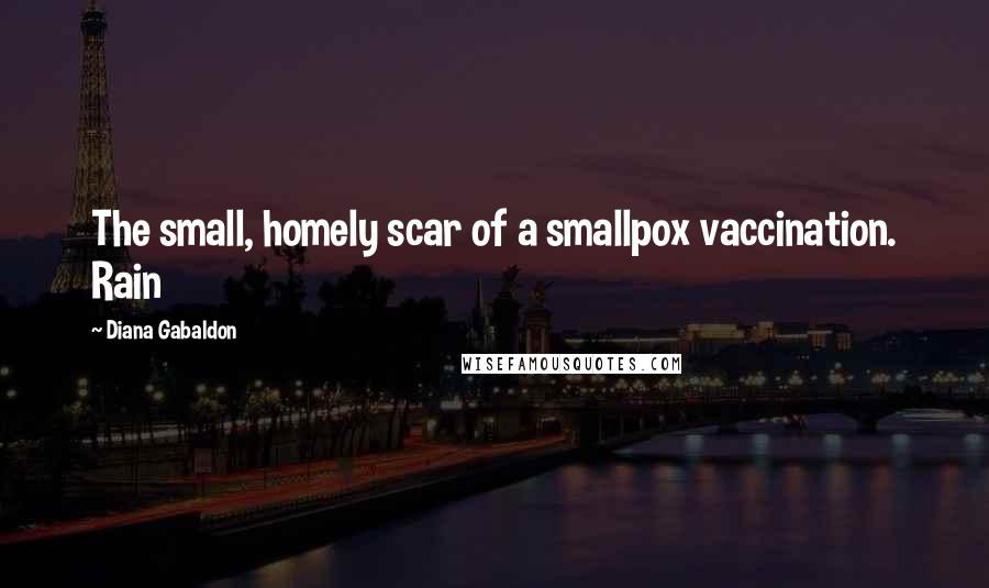 Diana Gabaldon Quotes: The small, homely scar of a smallpox vaccination. Rain