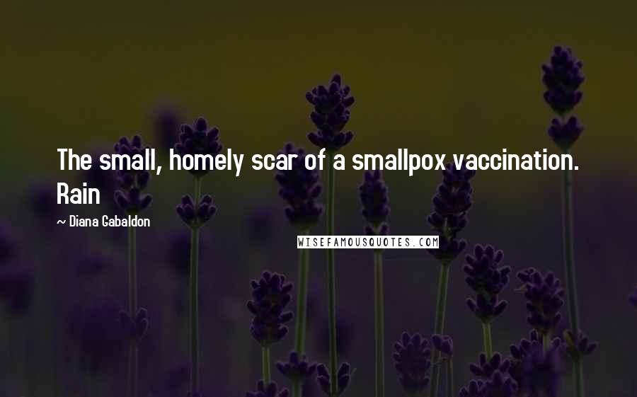 Diana Gabaldon Quotes: The small, homely scar of a smallpox vaccination. Rain