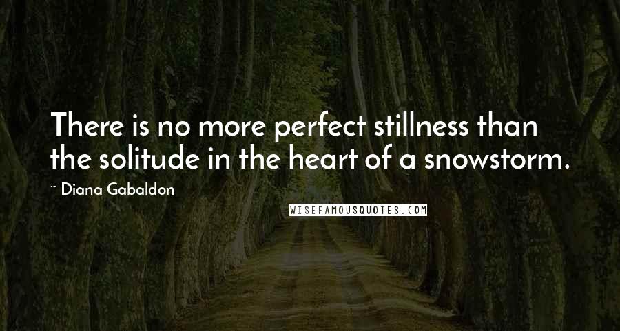 Diana Gabaldon Quotes: There is no more perfect stillness than the solitude in the heart of a snowstorm.