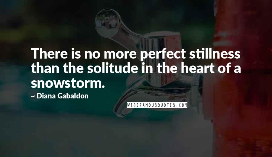 Diana Gabaldon Quotes: There is no more perfect stillness than the solitude in the heart of a snowstorm.