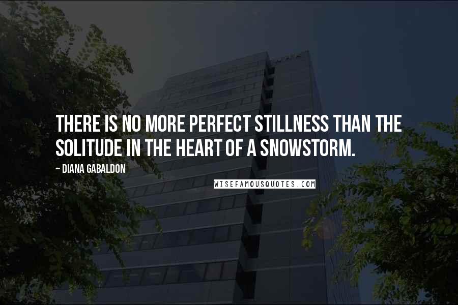 Diana Gabaldon Quotes: There is no more perfect stillness than the solitude in the heart of a snowstorm.