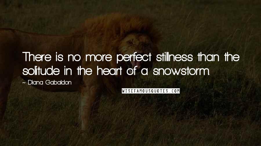 Diana Gabaldon Quotes: There is no more perfect stillness than the solitude in the heart of a snowstorm.