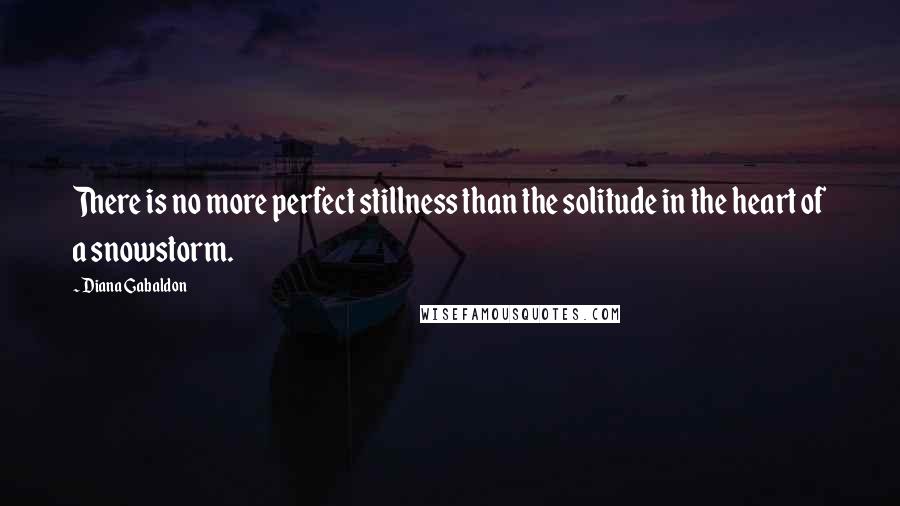 Diana Gabaldon Quotes: There is no more perfect stillness than the solitude in the heart of a snowstorm.