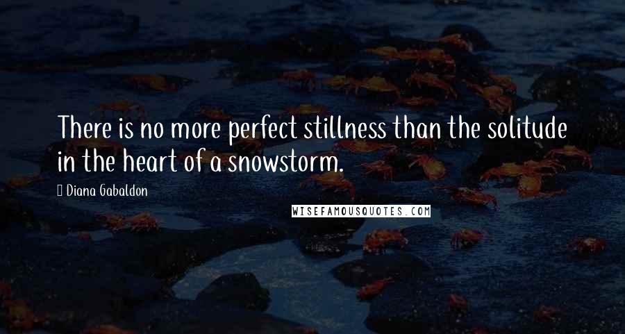 Diana Gabaldon Quotes: There is no more perfect stillness than the solitude in the heart of a snowstorm.