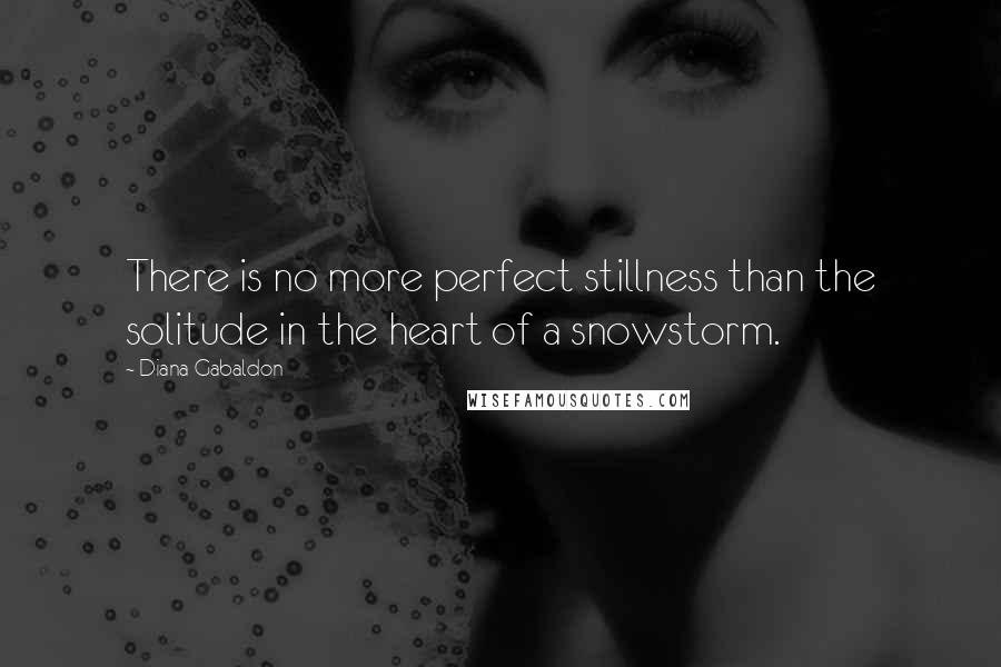 Diana Gabaldon Quotes: There is no more perfect stillness than the solitude in the heart of a snowstorm.