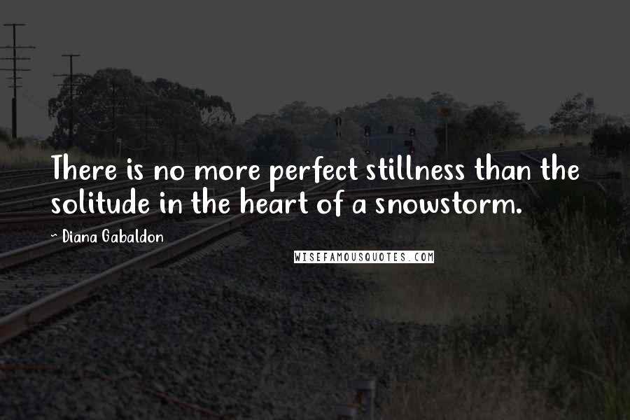 Diana Gabaldon Quotes: There is no more perfect stillness than the solitude in the heart of a snowstorm.
