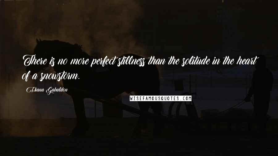 Diana Gabaldon Quotes: There is no more perfect stillness than the solitude in the heart of a snowstorm.
