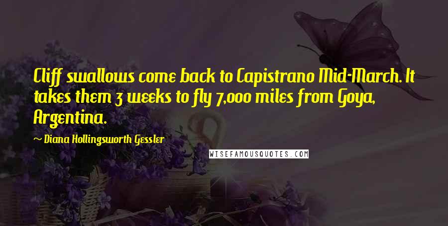 Diana Hollingsworth Gessler Quotes: Cliff swallows come back to Capistrano Mid-March. It takes them 3 weeks to fly 7,000 miles from Goya, Argentina.