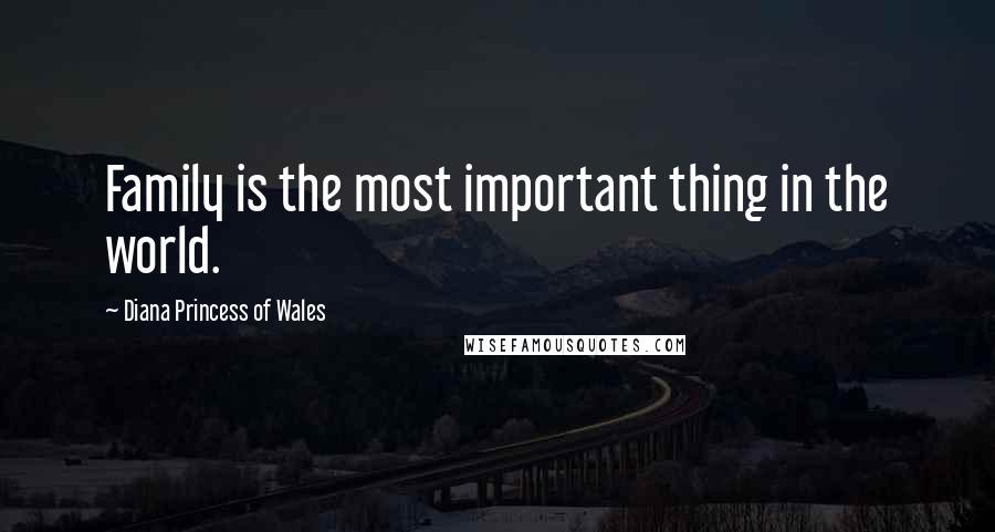 Diana Princess Of Wales Quotes: Family is the most important thing in the world.