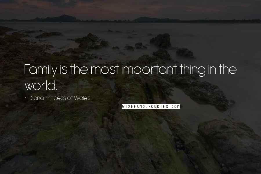 Diana Princess Of Wales Quotes: Family is the most important thing in the world.