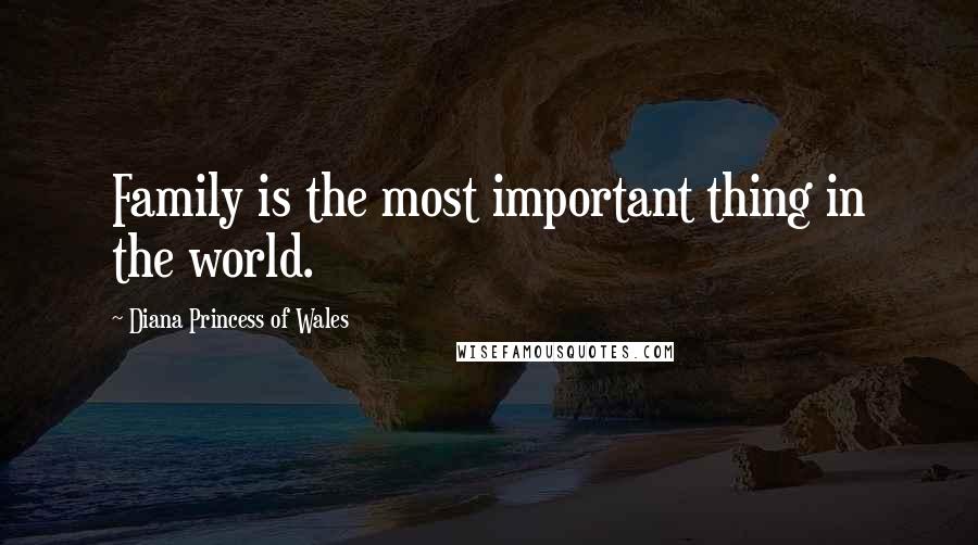 Diana Princess Of Wales Quotes: Family is the most important thing in the world.