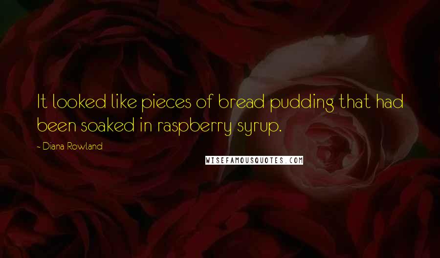 Diana Rowland Quotes: It looked like pieces of bread pudding that had been soaked in raspberry syrup.