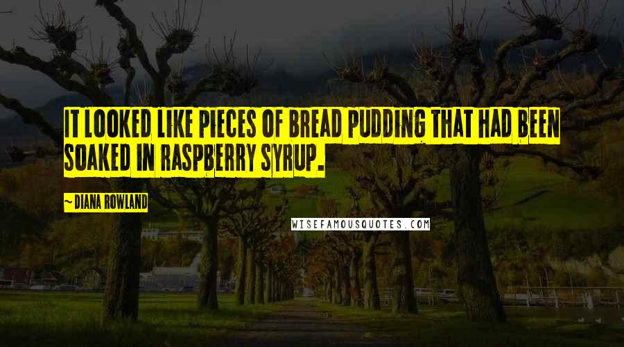 Diana Rowland Quotes: It looked like pieces of bread pudding that had been soaked in raspberry syrup.
