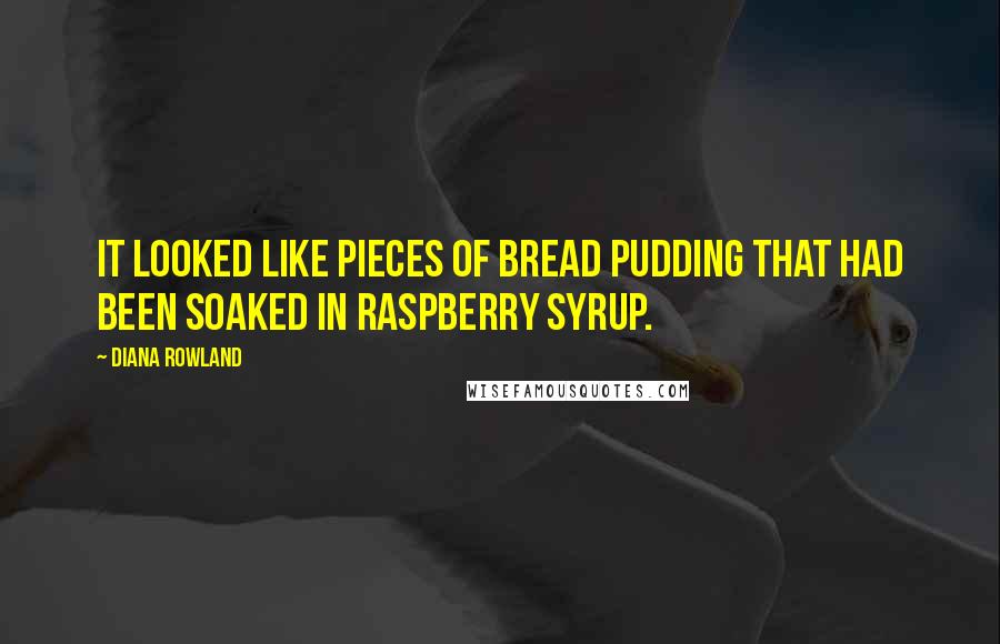 Diana Rowland Quotes: It looked like pieces of bread pudding that had been soaked in raspberry syrup.