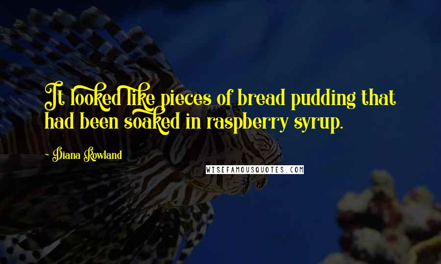 Diana Rowland Quotes: It looked like pieces of bread pudding that had been soaked in raspberry syrup.