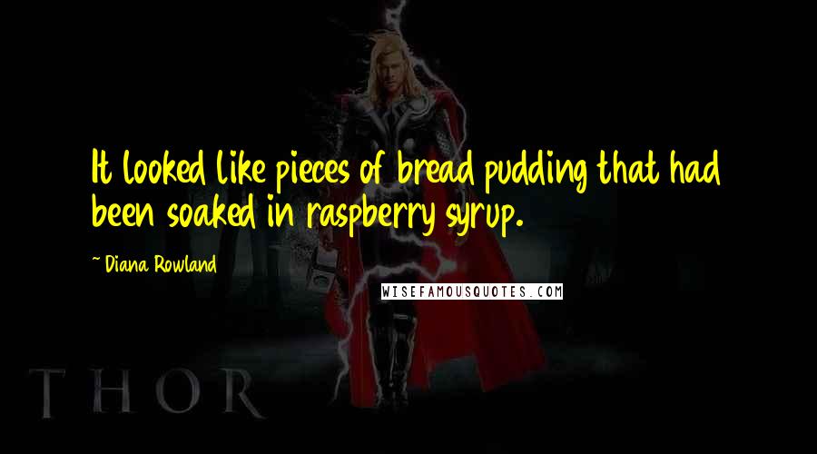 Diana Rowland Quotes: It looked like pieces of bread pudding that had been soaked in raspberry syrup.