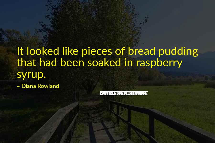 Diana Rowland Quotes: It looked like pieces of bread pudding that had been soaked in raspberry syrup.