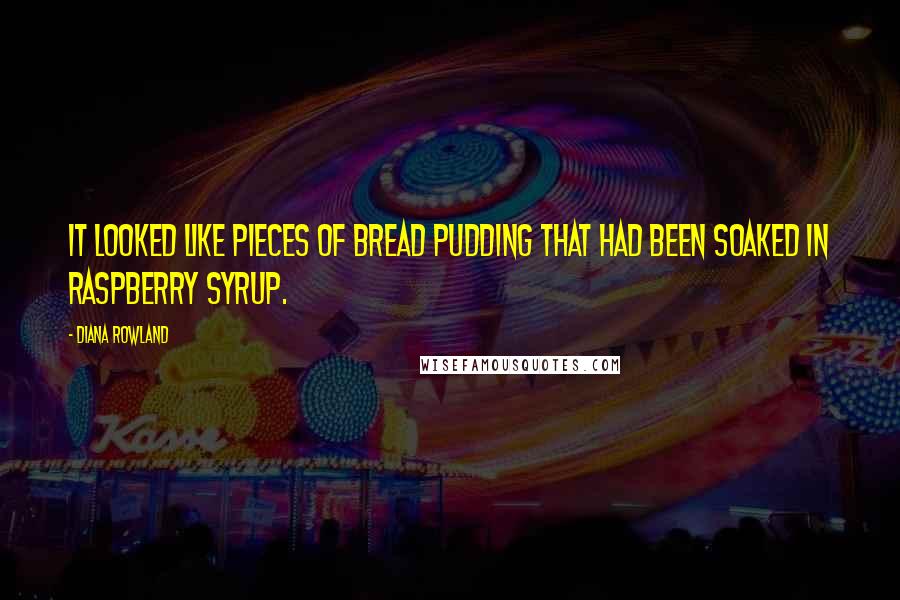 Diana Rowland Quotes: It looked like pieces of bread pudding that had been soaked in raspberry syrup.