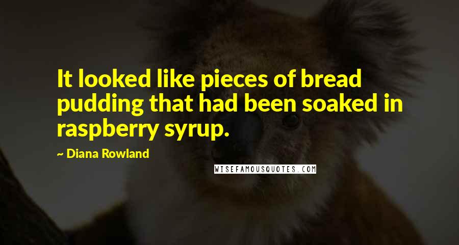Diana Rowland Quotes: It looked like pieces of bread pudding that had been soaked in raspberry syrup.