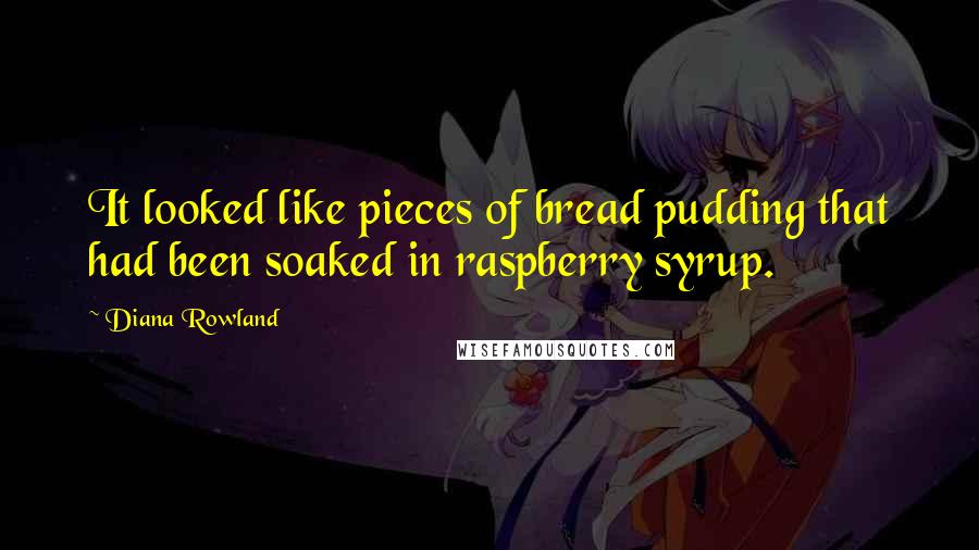 Diana Rowland Quotes: It looked like pieces of bread pudding that had been soaked in raspberry syrup.