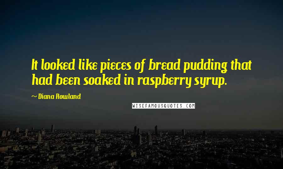 Diana Rowland Quotes: It looked like pieces of bread pudding that had been soaked in raspberry syrup.