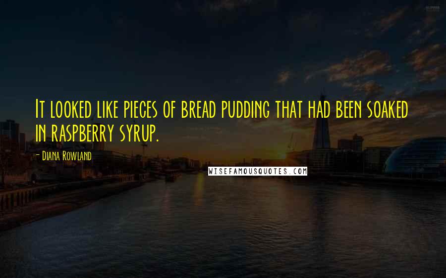 Diana Rowland Quotes: It looked like pieces of bread pudding that had been soaked in raspberry syrup.