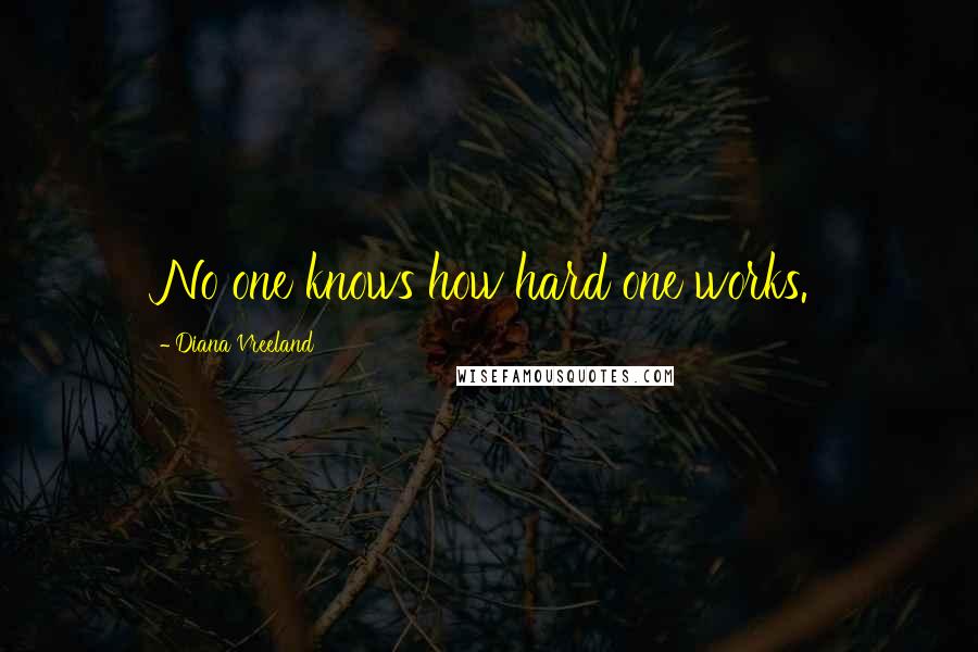 Diana Vreeland Quotes: No one knows how hard one works.