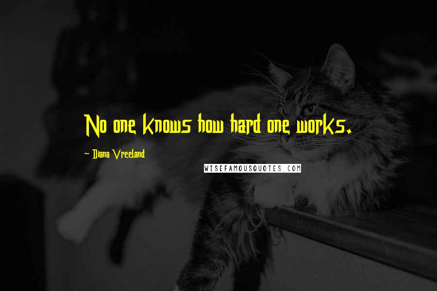 Diana Vreeland Quotes: No one knows how hard one works.
