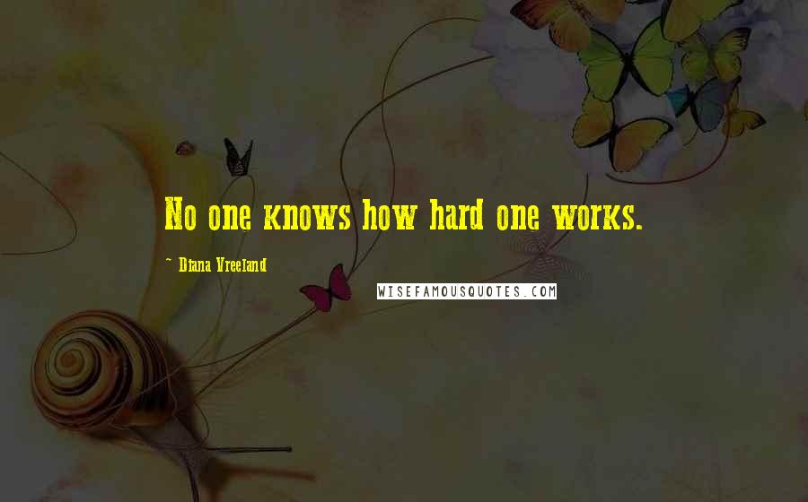 Diana Vreeland Quotes: No one knows how hard one works.